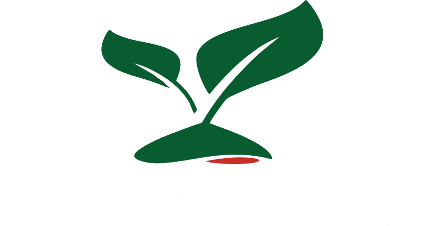 Solovita